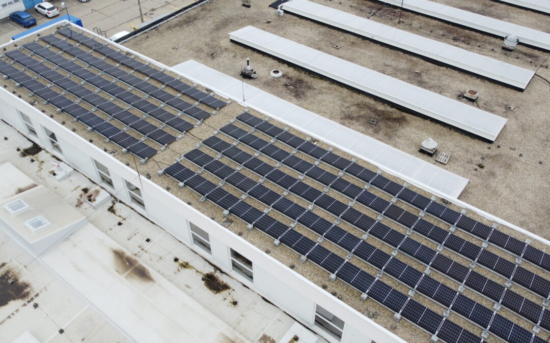 GLS futárszolgálat debreceni telephelye