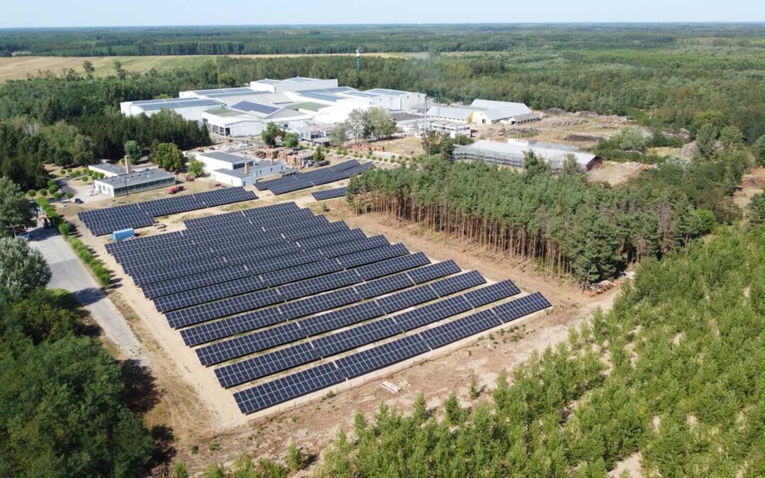 AgroSprint Zrt. nyírlugosi telephelye